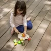 Plantoys| Assorted Fruit Set -Happy Kids Shop GUEST 6bacc066 b312 4178 a6a7 c35319807fec