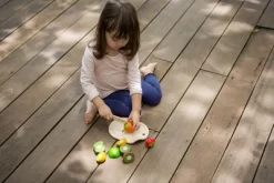 Plantoys| Assorted Fruit Set